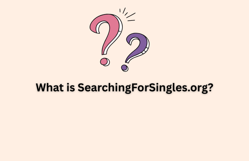 SearchingForSingles org Review: Features, Safety, and User Guide
